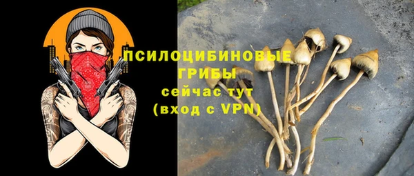 бошки Пенза