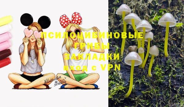 бошки Пенза