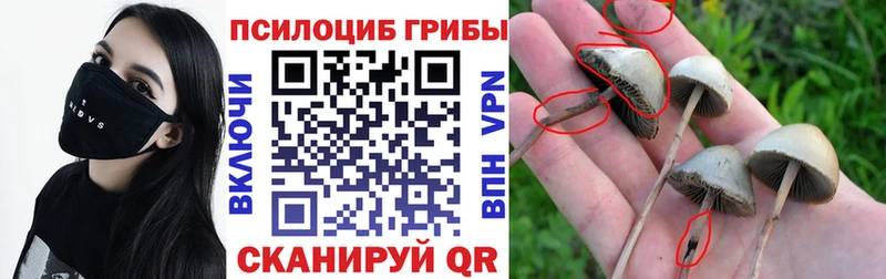 Псилоцибиновые грибы MAGIC MUSHROOMS  купить  цена  Артёмовск 
